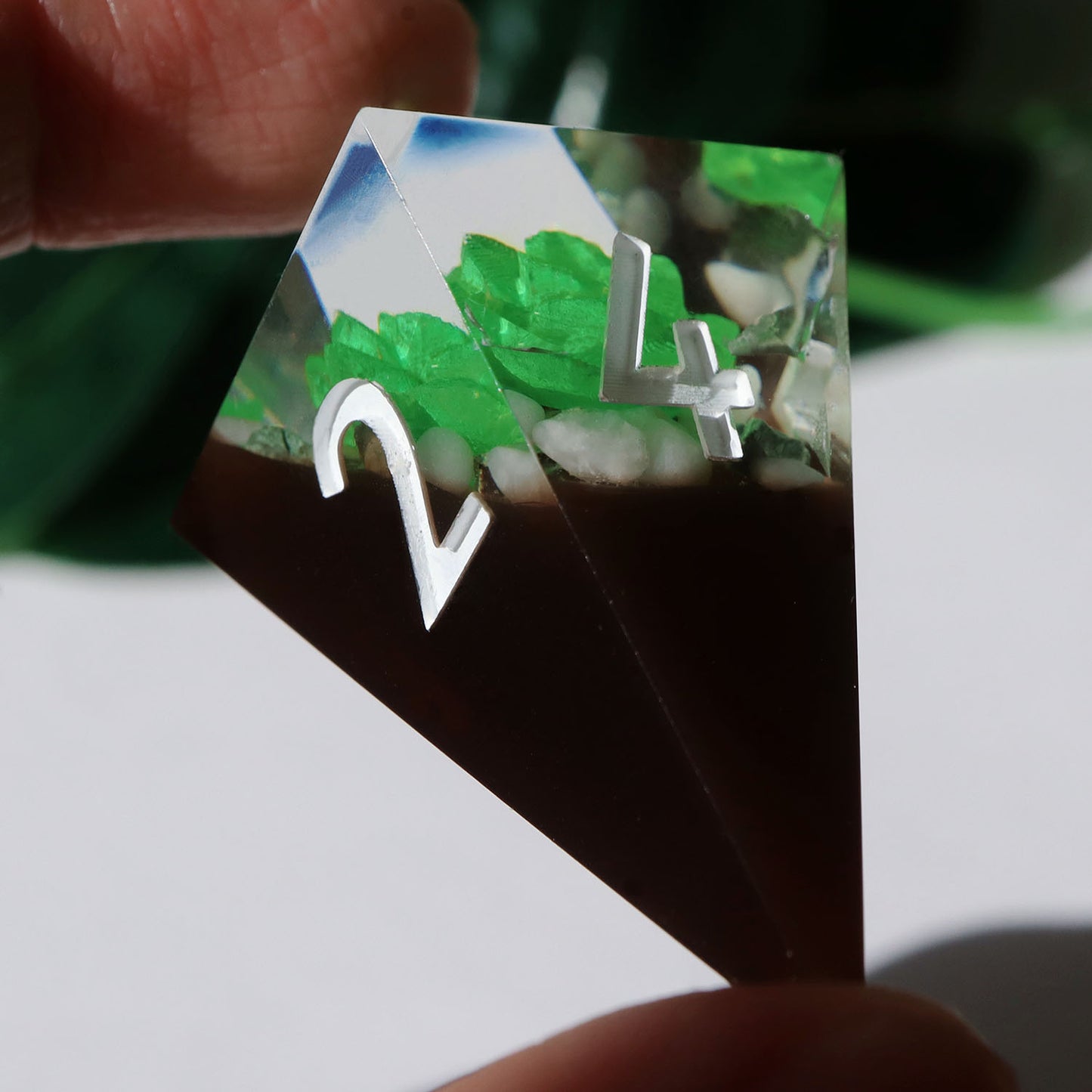 Succulent Terrarium 7 pc Chonk Set