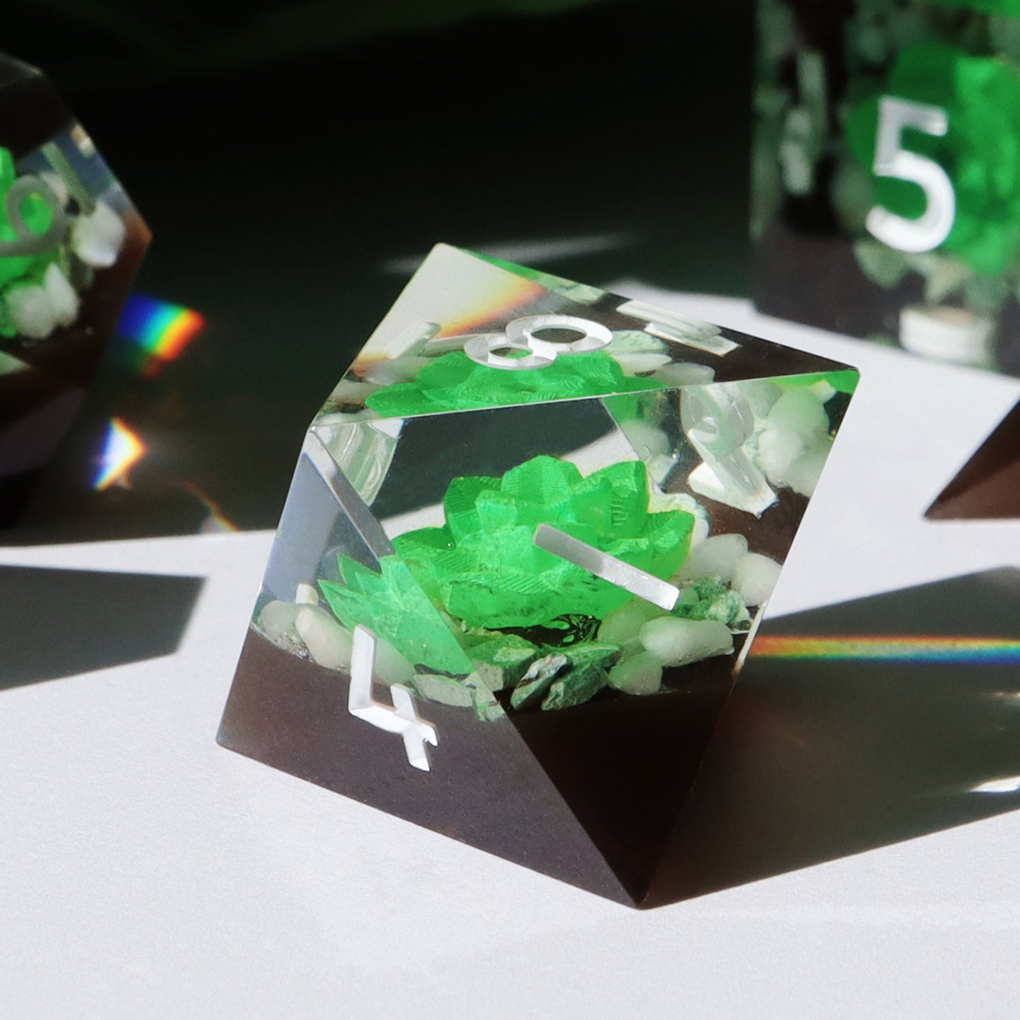 Succulent Terrarium 7 pc Chonk Set